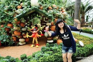 娱乐吃瓜酱花园,揭秘娱乐圈幕后故事